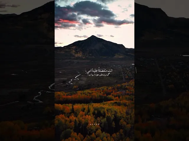 ⁣يا فاطمة 🩶