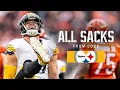 Every Steelers sack from the 2023 season Pittsburgh Steelers