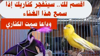أ قسم لك 20 دقيقه تخلي طائر الكناري ينفجر من شدة الغناء أسمعه المقطع كامل ستلاحظ الفرق 