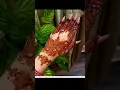 Henna Khan Wedding Menhdi Design pictures#hennakhan #hennamehndidesign #yrkkh #mehndi #hinakhanbride