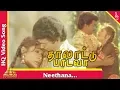 Lagu Neethana neethana nenje neethana Video Song | Thalattu Padava| Parthiban | Rupini | Pyramid Music