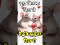 Download Lagu चूहा निकला बिल से हैप्पी न्यू ईयर दिल से 2025 | happy new year funny shayari | new year status #2025