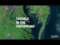 Will the Chesapeake Become a Dead Zone