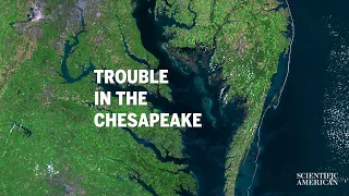 Will the Chesapeake Become a Dead Zone