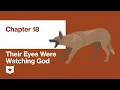 Their Eyes Were Watching God by Zora Neale Hurston Chapter 18