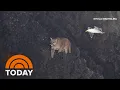 Oregon beach reopens after cougar sighting led to closure