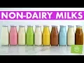 10 Homemade Nut Non-Dairy Milks Vegan Recipes FREE EBOOK