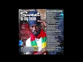 ROOTS MIX **SWEET TO MY BRAIN** DJ GREEN B 2014 REGGAE RIDDIM
