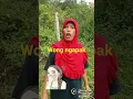 Download Lagu wong Tegal ngapak