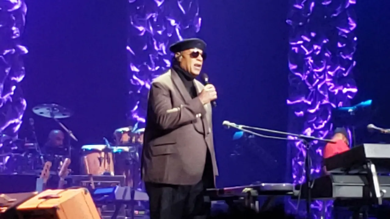 Stevie Wonder
