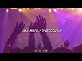 Enjambre - Divergencia (Letra)