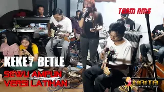 Download SEWU AMPUN KEKEY BETLE VERSI  LATIHAN NIRWANA MANDALA SAKTI MP3