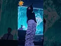 Download Lagu 241108 김우성 WOOSUNG B4 WE DIE in San Antonio