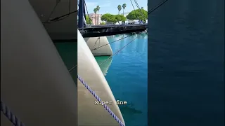 ‘Those are some badass big dreadnought bows’ #sailinglife #luxuryyachtlife #yacht #sailing #luxury