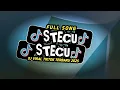 Download Lagu DJ stecu stecu stelan cuek baru malu | dj viral tiktok terbaru 2025 #djviraltiktok