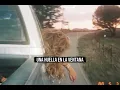 Dasha - '82 Chevy | Sub Español