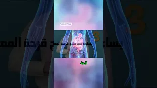 عسل السدر لتنظيف الجهاز الهضمي    فوائد عسل السدر على الريق دندنها
