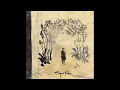 Sigur Rós - Hoppípolla