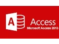 Insert Delete Update Search on Form Ms Access 2013