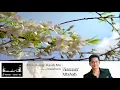 Download Lagu Mengharap Kasih Mu - Nassier Wahab - Instrumental Guitar Cover