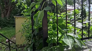 قصتي بعدما خرجت من دارنا لقيت نصرو وهكذا كان معايا 