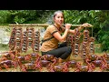 Download Lagu Harvest giant stone crabs on rainy days to sell at the market with single mom
