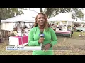 Boulevard Bazaar returns to North Charleston