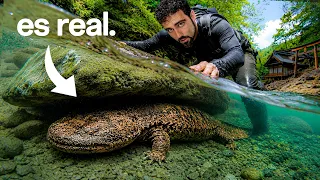 Encontré el Animal más Macabro de Japón - Pokemon Legendario en la Vida Real