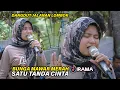 Download Lagu Nia Dirgha Sedih Tak Dapat Bunga Mawar Merah Bersama Musik Jalanan Irama Dopang