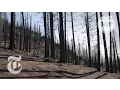 Dead Before the Fire Even Came Through The Daily 360 The New York Times