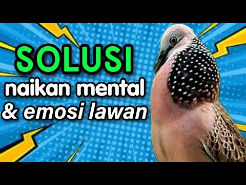 Download MP3 derkuku super gacor solusi naikan mental emosi lawan