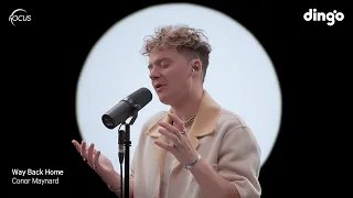 FOCUS Conor Maynard Way Back Home Sam Feldt Edit 딩고뮤직 Dingo Music 