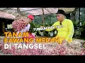 Lagu TANAM BAWANG MERAH DI TANGERANG SELATAN ??? TUMBUH GAK YA ?