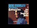 Bob Marley - Waiting In Vain (Torisutan Extended)