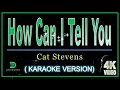 How Can I Tell You - Cat Stevens (karaoke version)