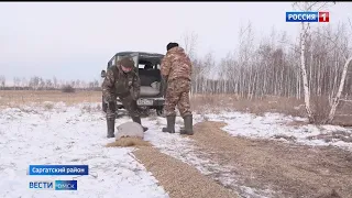 В Омской области заработали зимние столовые для диких зверей