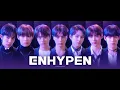 Download Lagu ENHYPEN-DRUNK DAZED RINGTONE #EHYPEN