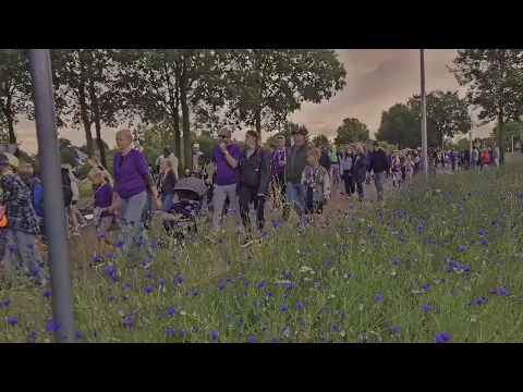 Wandelvierdaagse Ommen feestelijk afgesloten