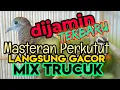 Suara Burung PERKUTUT LOKAL Untuk Pancingan Manggung dan Masteran Langsung Nyaut mix TRUCUKAN
