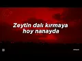 Grup Destan - Cilveloy Nanayda LYRICS