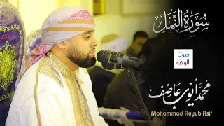 محمد أيوب عاصف سورة النمل   من دون مقاطعة                                                        دندنها