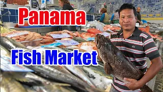 The BIGGEST FISH MARKET in Panama Walking Tour Fresh Seafood Local life