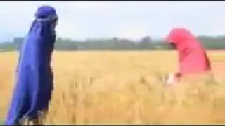 Mazmur Ortodoksi Tawahido  Mazmur Ortodoksi Tawahido