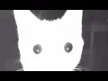 Download Lagu Cat flashbang.