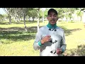 tagmat 2022 clip vidéo  /2022/ تگمات حسن ڤيديو كليب