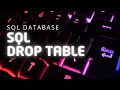 DROP TABLE SQL