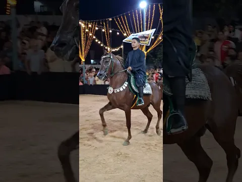 خيل ادب محترم