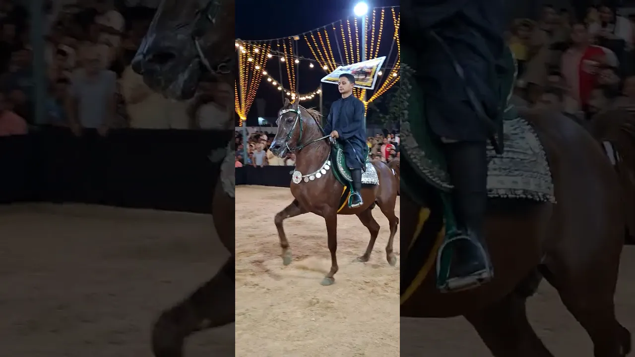 خيل ادب محترم