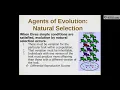 Chapter 16 17 Evolution and Natural Selection Part 4