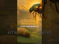 Download Lagu गुरु को कीजै दण्डवत, कोटि कोटि परनाम _ Kabir Amritwani with Lyrics _ Guru Ki Mahima